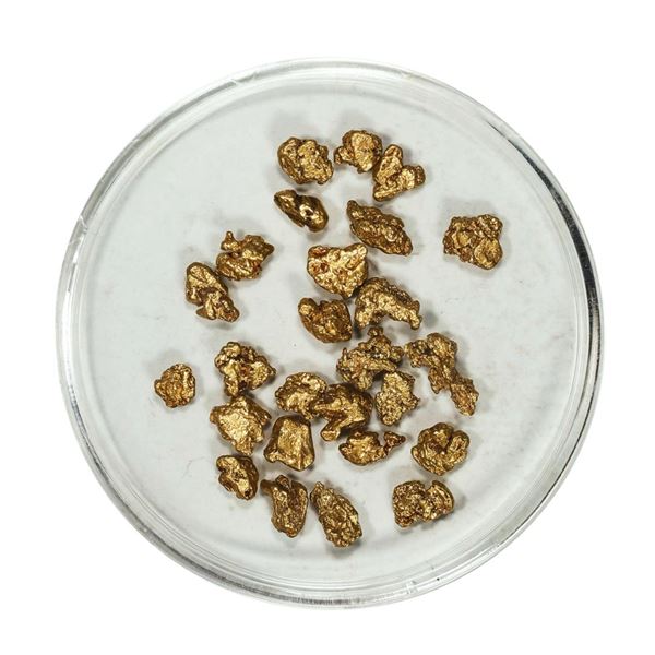 Gold Nuggets 4.38 Grams Total Weight