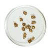 Image 1 : Gold Nuggets 1.86 Grams Total Weight