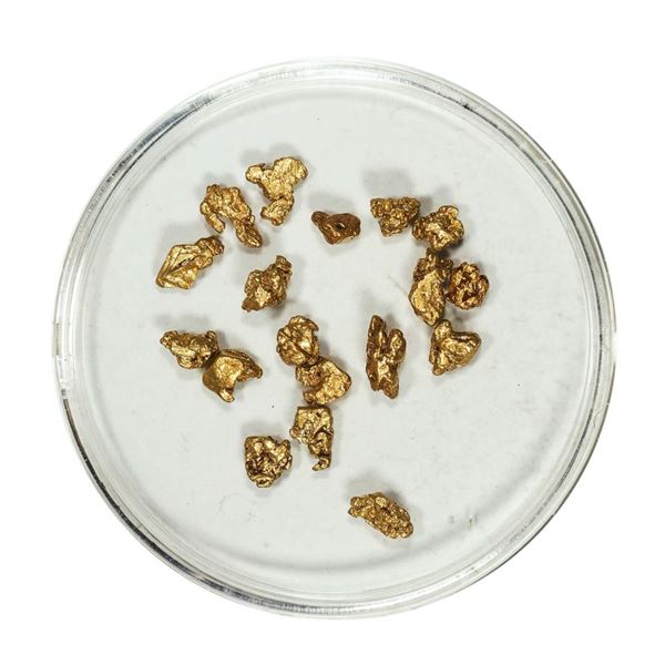 Gold Nuggets 2.89 Grams Total Weight