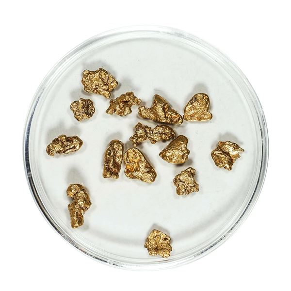 Gold Nuggets 4.36 Grams Total Weight