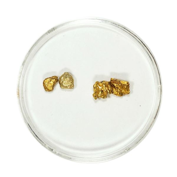 Lot of Gold Nuggets 2.10 Grams Total Weight