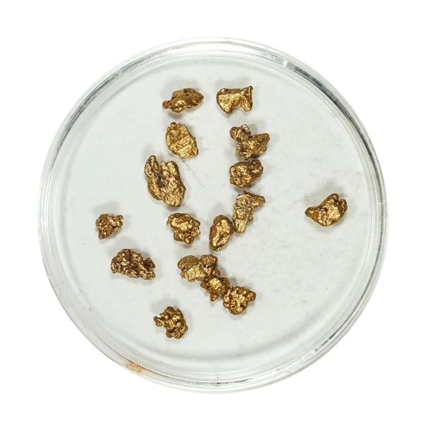 Gold Nuggets 2.72 Grams Total Weight