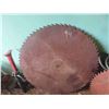 Image 2 : 2 Saw Mandril Blades  28'' + 20''