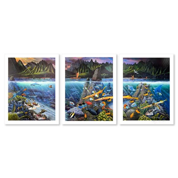Chant to Nature (Triptych) by Nelson, Robert Lyn