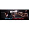 Image 1 : The Trump Thompson