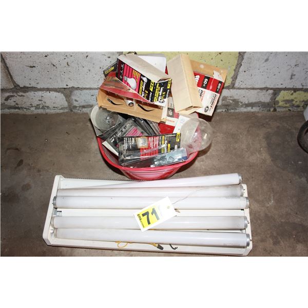 assorted light bulbs