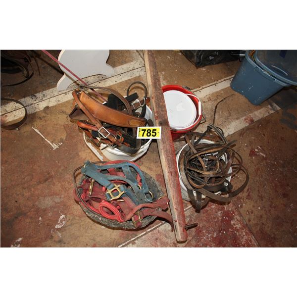 assorted horse tack