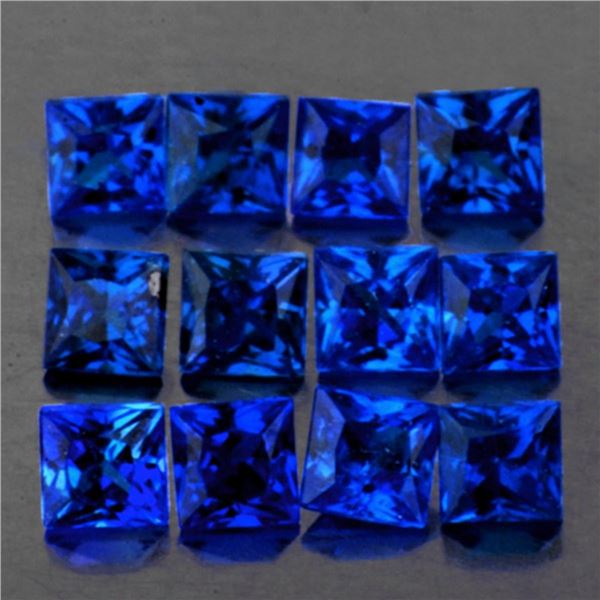 Natural Royal Blue Princess Sapphire 12 Pcs [Flawless-VVS]