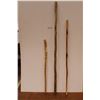 Image 1 : *(2) Walking Sticks - Measuring Stick