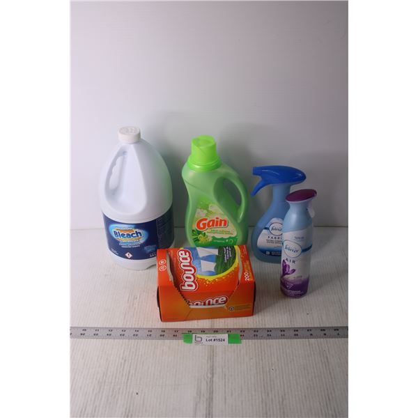 Assorted Cleaning Supplies - Bleach, Laundry Detergent