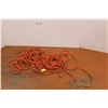 Image 1 : *Long Orange Extension Cord