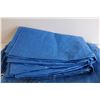 Image 3 : (3) Blue Tarps