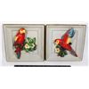 TWO FAVOR WARE (CANADA) PARROT WALL PLAQUES