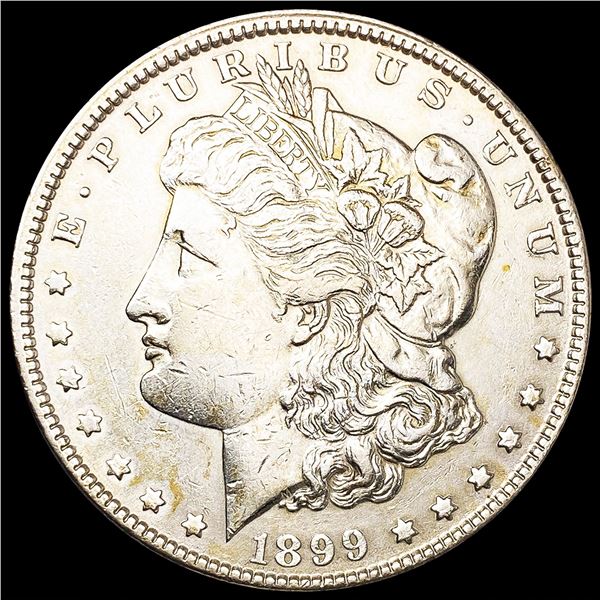1899 Morgan Silver Dollar