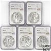 Image 1 : 1987 Set (5) American Silver Eagles NGC MS69