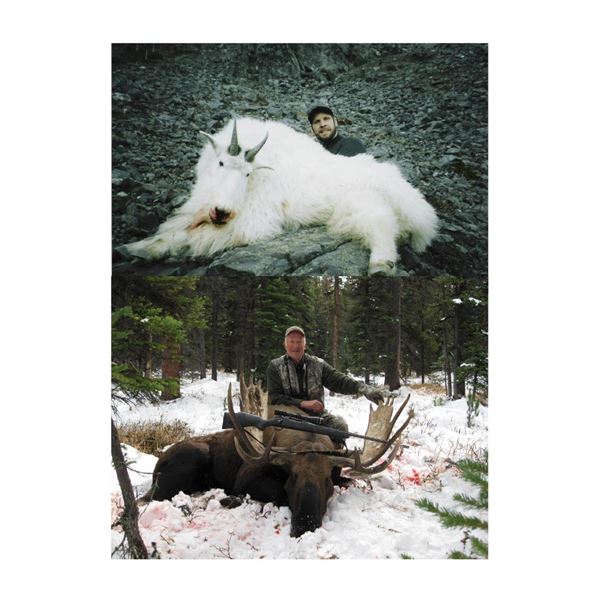 $5000 hunt credit a hunt for selected species in British Columbia, Canada