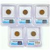 Image 2 : 1859-1909 Set (5) Indian Head Cent ICG