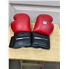 Image 1 : Pair of boxing gloves - Go Zone