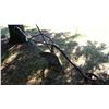 Image 2 : horse drawn hand single blade plow *Item located at Schmalz*
