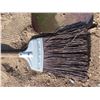 Image 3 : 2 Brooms & a shovel