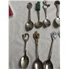 Image 8 : Collector Spoons Lot