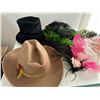 Image 2 : Hats Lot