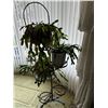 Image 1 : 4 Live Plants and Wrought Iron Stand