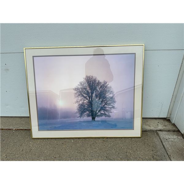 FRAMED PRINT