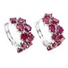 Image 1 : Natural Red Ruby Earrings