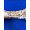 Image 3 : The Chompery-Beef Foreshank Bone