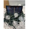 Image 1 : Solar string bulb fairy lights
