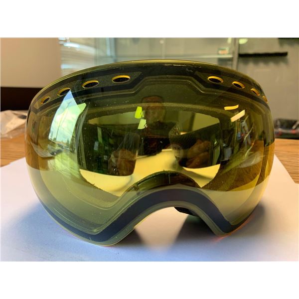 Bolle Ski/Snowboard Goggles