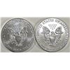 Image 2 : (2) 2019 AMERICAN SILVER EAGLES