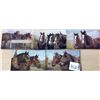 Image 1 : 5 Postcards of Horses by J. Salmon Ltd.