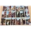 Image 3 : Group of 50 & Box Yellowstone National Park "Gems of this Wonderland" Postcards