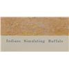 Image 10 : "Indians Simulating Buffalo" Remington, Collier's