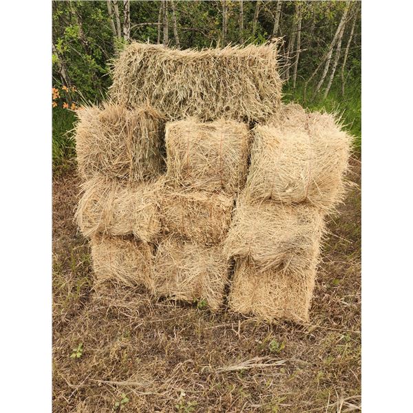 (35x Bid Price) 2023 Crop Square Hay Bales (Mostly Grass)