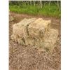 Image 5 : (35x Bid Price) 2023 Crop Square Hay Bales (Mostly Grass)