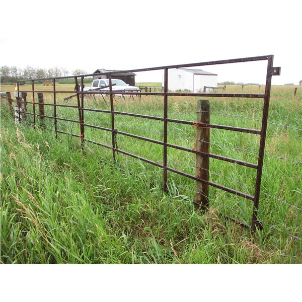 (2x Bid Price) 10' Metal Gates