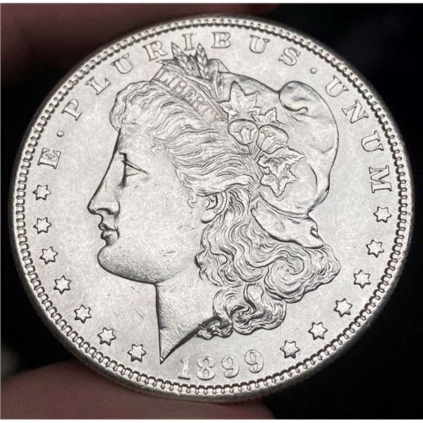 1899 Morgan Silver Dollar MS63