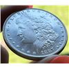 Image 3 : 1887 Morgan Silver Dollar MS64 PL