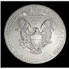 Image 2 : 2013 American Silver Eagle