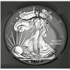 Image 2 : 2013-W American Silver Eagle NGC Reverse PF69