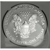 Image 3 : 2013-W American Silver Eagle NGC Reverse PF69