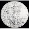 Image 2 : 2015 American Silver Eagle