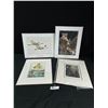 Image 1 : Animal Pictures Ready For Framing- Owl, Butterfly & More. Approx. 11" x 14"
