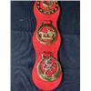 Image 2 : Vintage Horse Brasses on Beautiful Red Leather