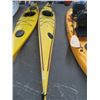 Image 1 : Chinook 14' Necky Sit In Kayak w/Oar