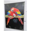 Image 1 : Framed Oil On Canvas of Parrots