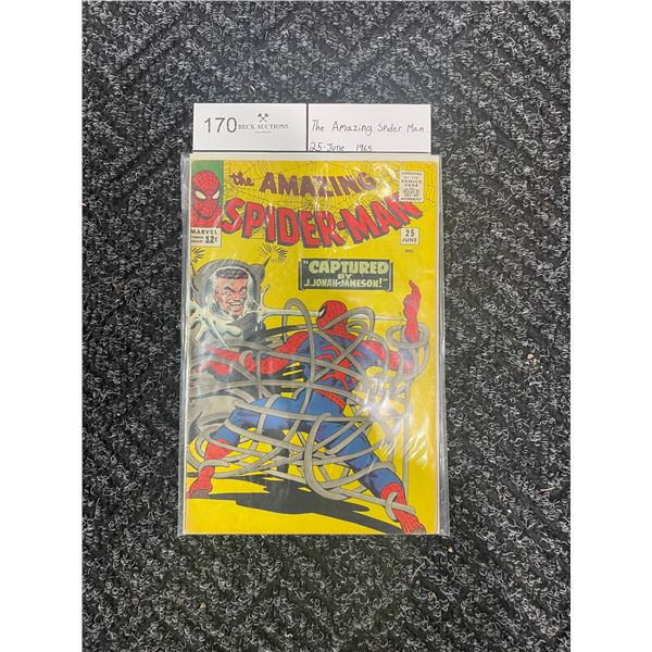 THE AMAZING SPIDER-MAN NO.25 Comic